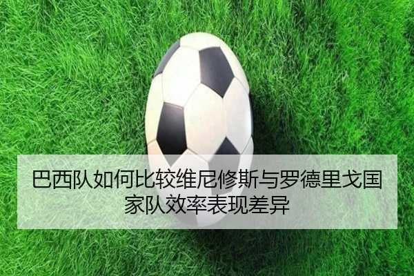 巴西队如何比较维尼修斯与罗德里戈国家队效率表现差异